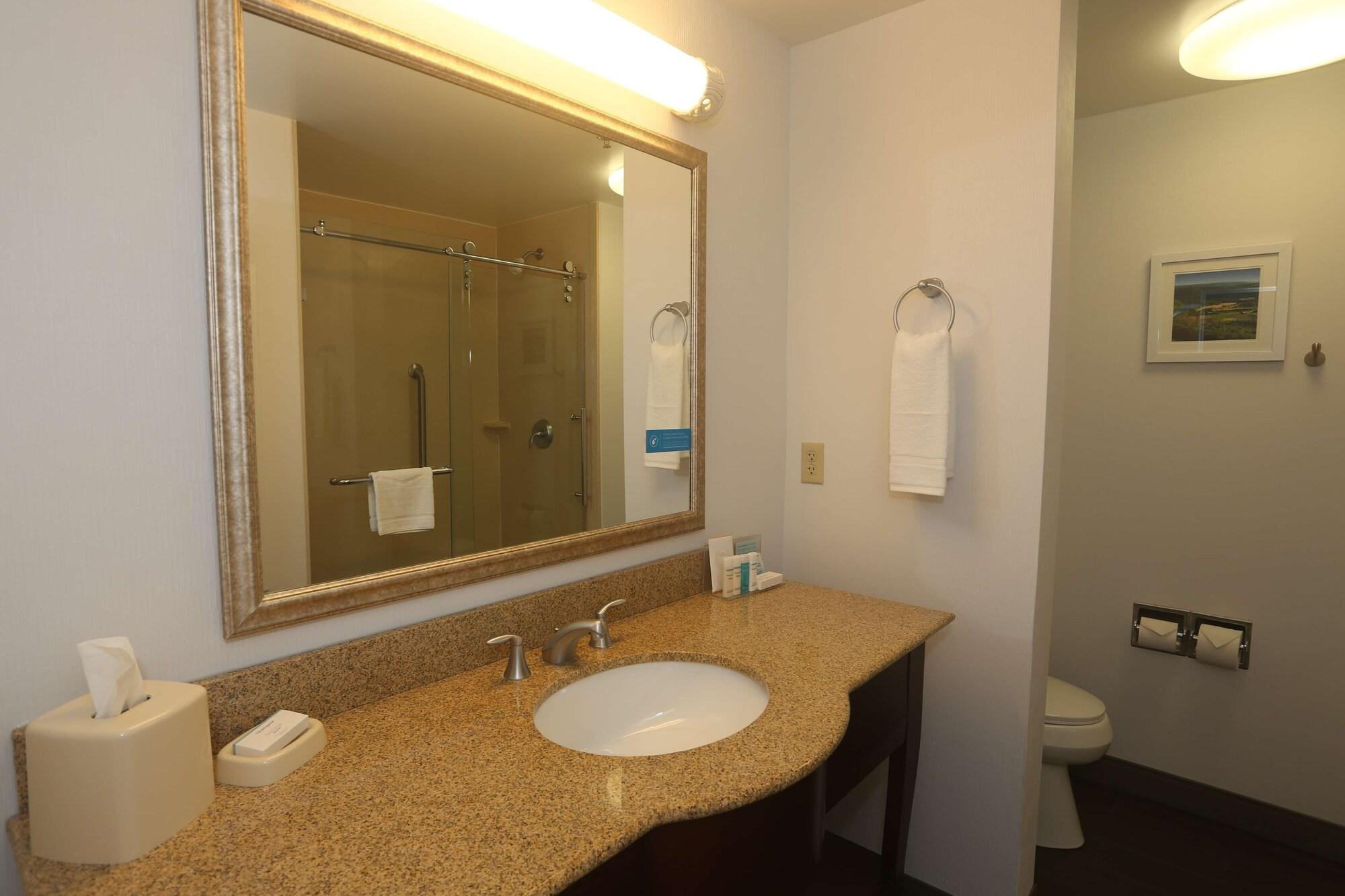 Hampton Inn Owego Buitenkant foto