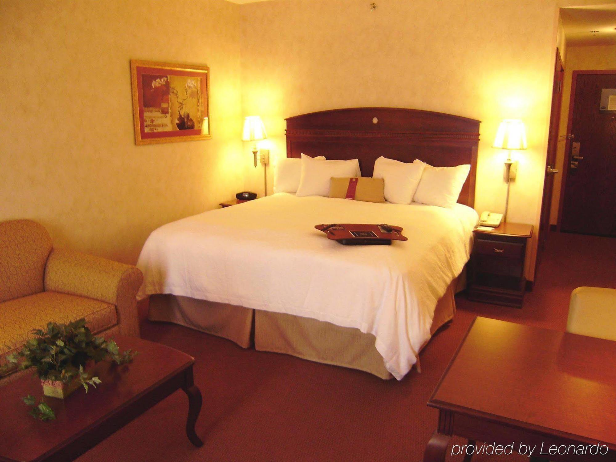 Hampton Inn Owego Kamer foto